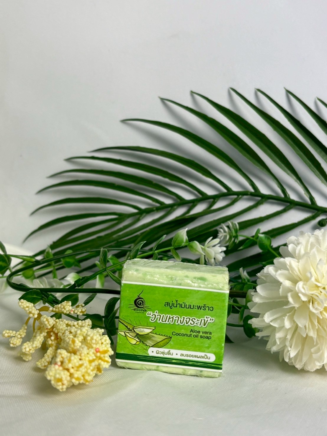 สบู่น้ำมันมะพร้าวว่านหางจระเข้ - Image 3