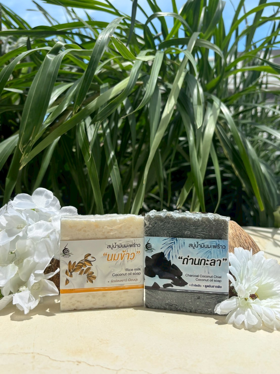 สบู่น้ำมันมะพร้าว ถ่านกะลา + นมข้าว Coco Detox & Milk - Image 3