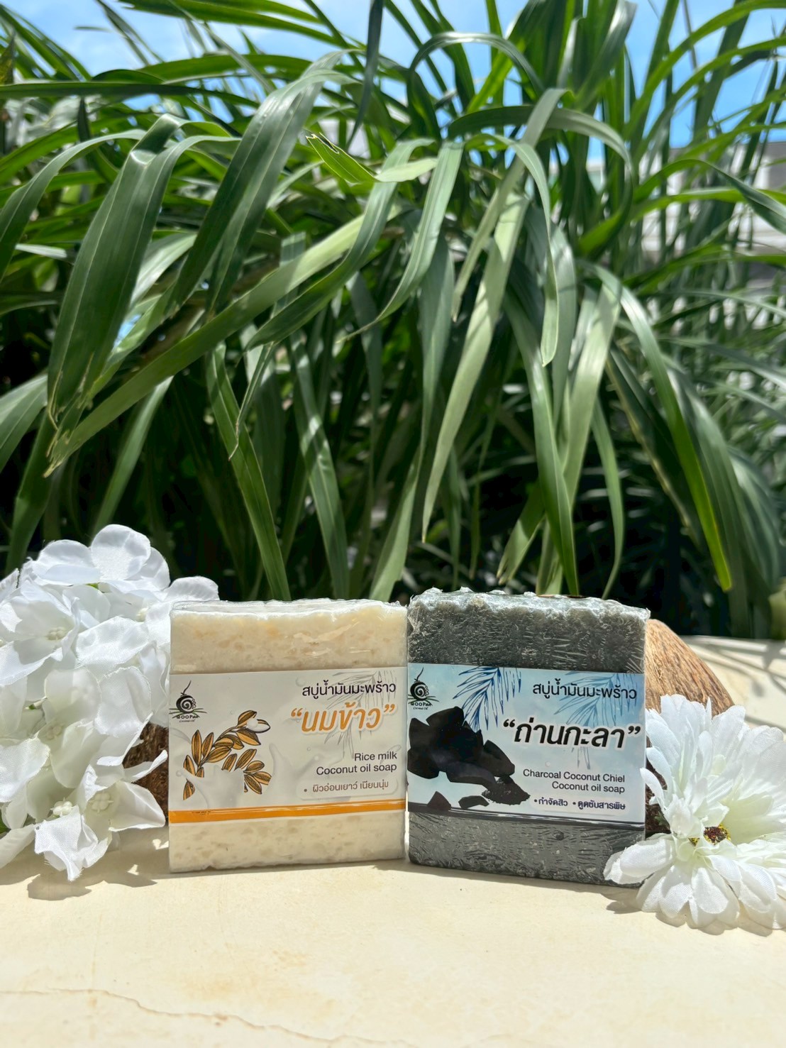 สบู่น้ำมันมะพร้าว ถ่านกะลา + นมข้าว Coco Detox & Milk - Image 4